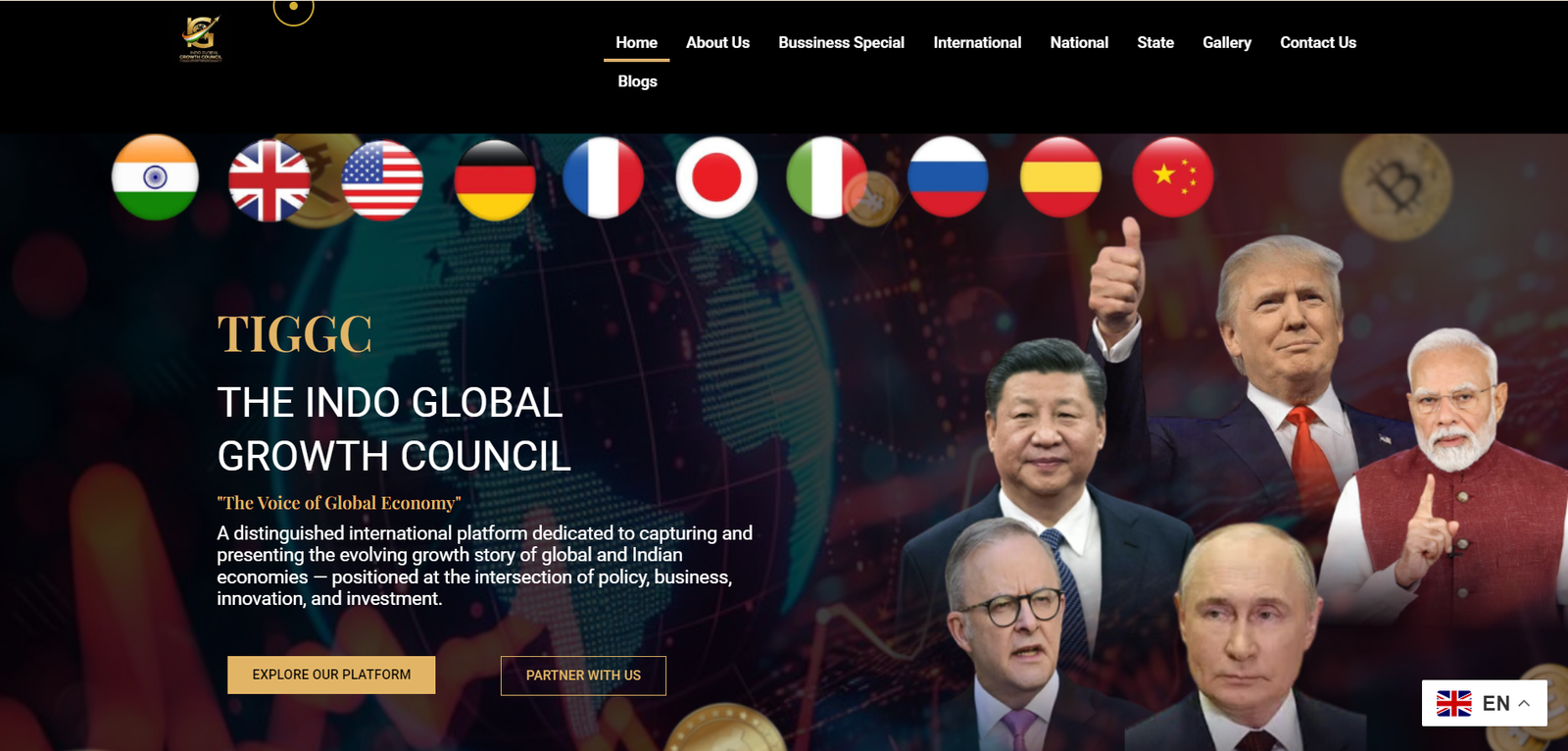 TIGGC website preview